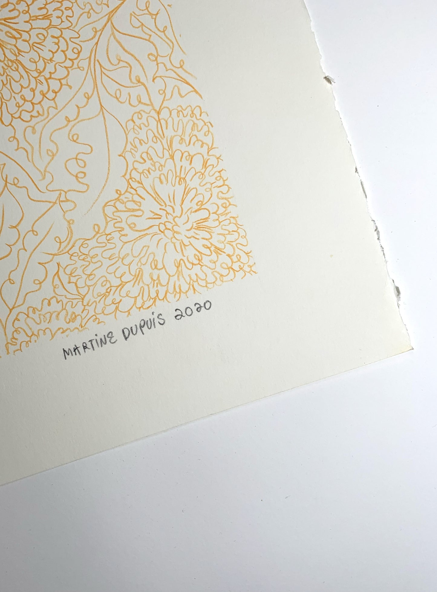 Marigold no2