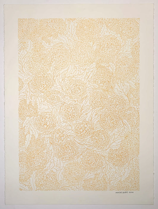 Marigold no2